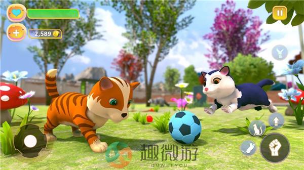 猫咪治愈屋游戏安卓版（Cute Kitten Simulating Game）图片1