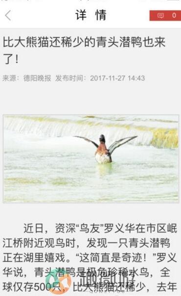 今日德阳新闻资讯app官方版图片1