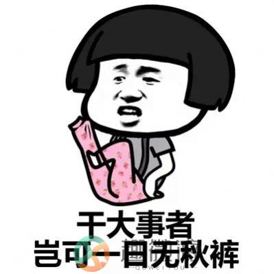一条秋裤已经不够了表情包图片大全图片2