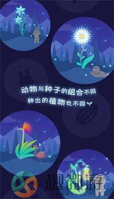 夜之森免费下载