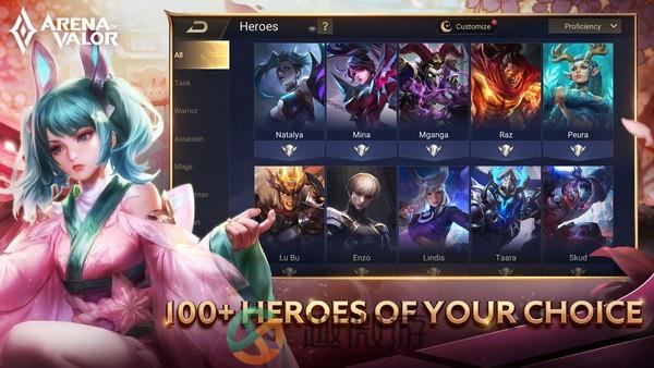 arena of valor