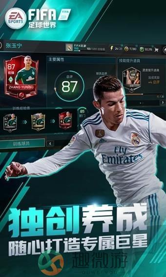 FIFA足球世界