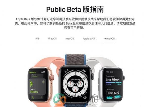 watch OS8正式版描述文件下载图片1