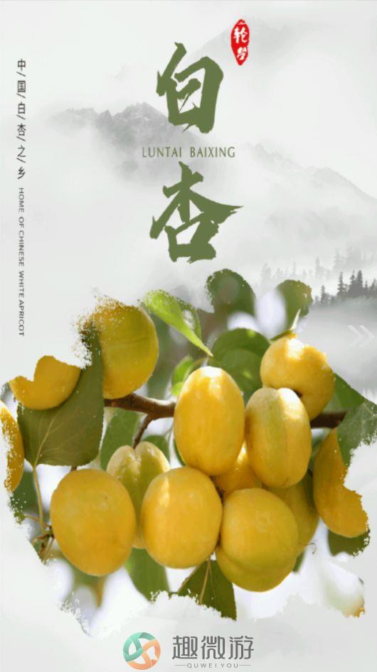 轮台好地方app官方版图片1