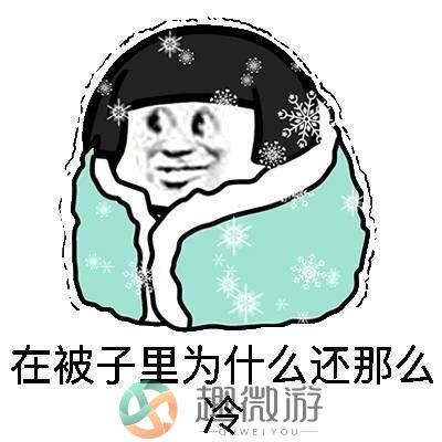 冷冷冷表情包图片文字大全下载图片1