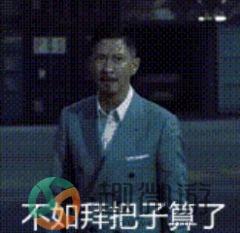 抖音渣渣辉gif动图表情包图片图片1