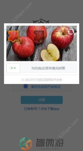 蛛网SpiderNetwork挖矿app官网手机版图片1