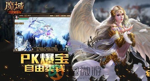 神界魔域手机游戏正版官方版图片2