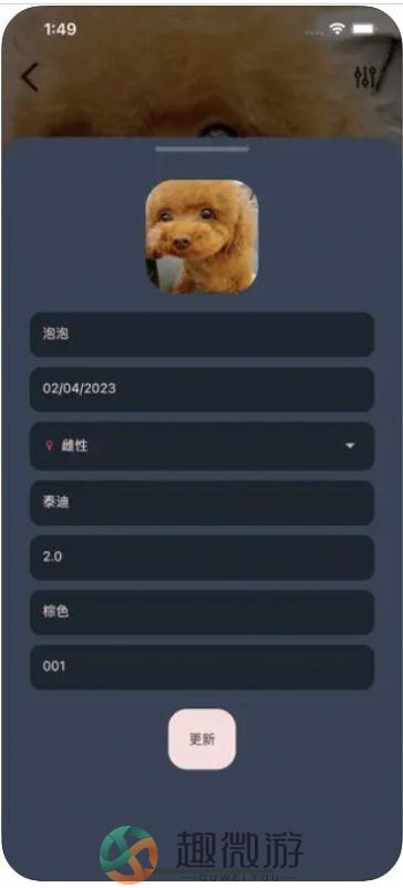 爱宠小派最新版app下载安装官方正版（含口令）图片1