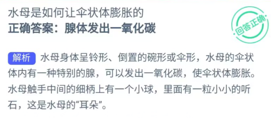 《支付宝》2023年9月1日神奇海洋科普答案