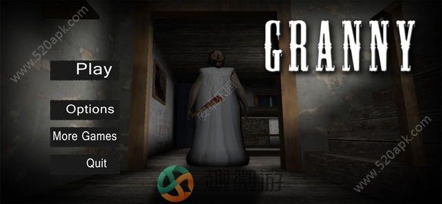 迷你外婆中文汉化安卓中文版（Granny）图片2